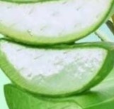 Search Results for: Aloe Vera with Cinnamon: The Home Remedy That Protects Your Health and Vision